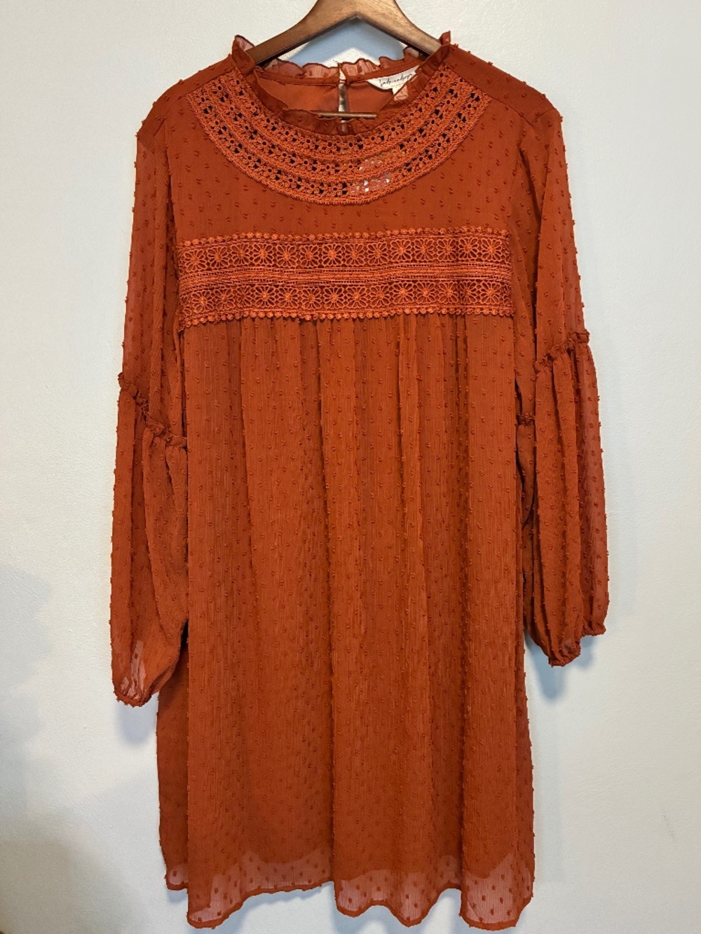 NWT Rust-colored long-sleeve swing tunic dress w/ Swiss dot fabric Size XL